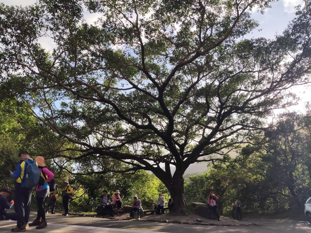 草嶺古道茫草祭_2936609