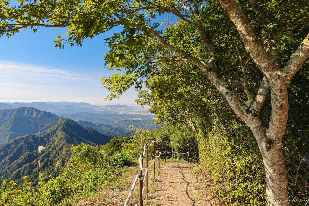 [苗栗]馬那邦山_2355156