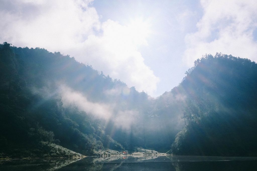 我們在氤氳的霧裡唱歌封面圖