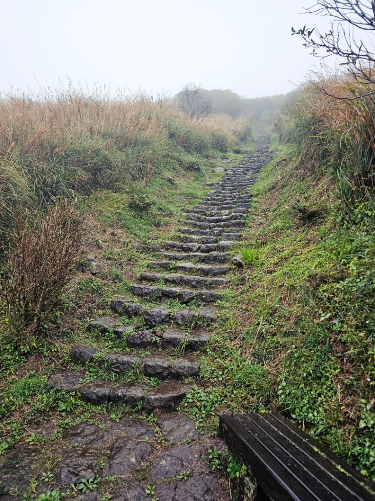 2025臺北大縱走第二段：二子坪至小油坑_2973507