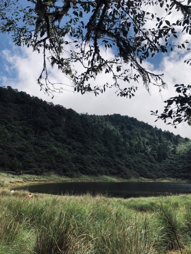 滿水位的少女湖封面圖