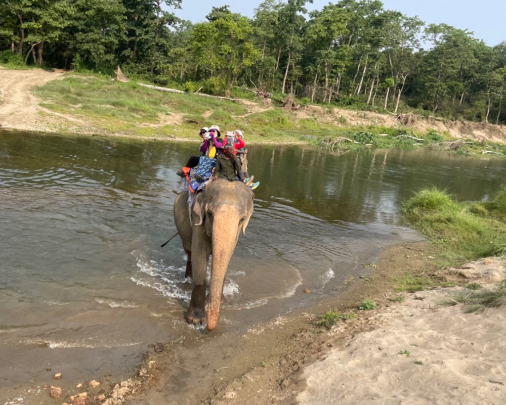 尼泊爾奇旺國家公園4天三夜_2788888