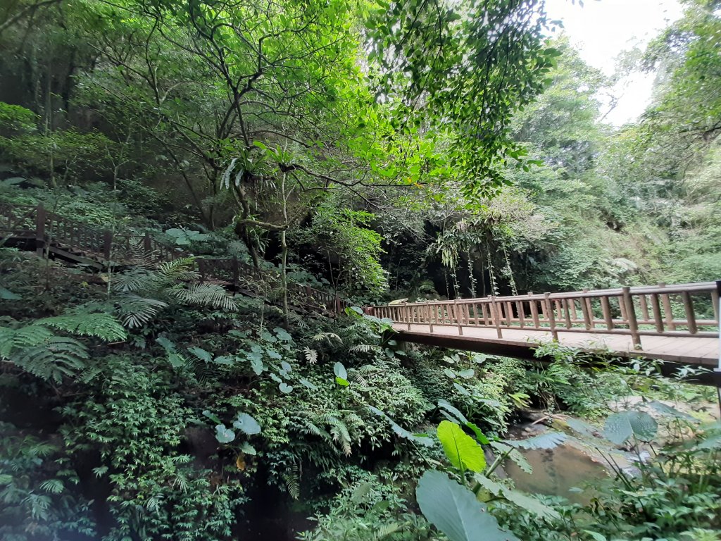 【跟著寶寶漫步參山】獅頭山五連走_1135993