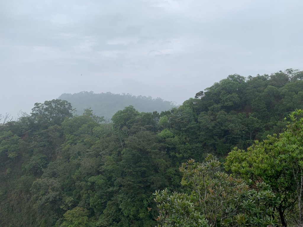 20250426苗栗火炎山_2772892