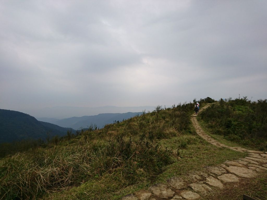 風櫃嘴擎天崗 2017.03.04_140588