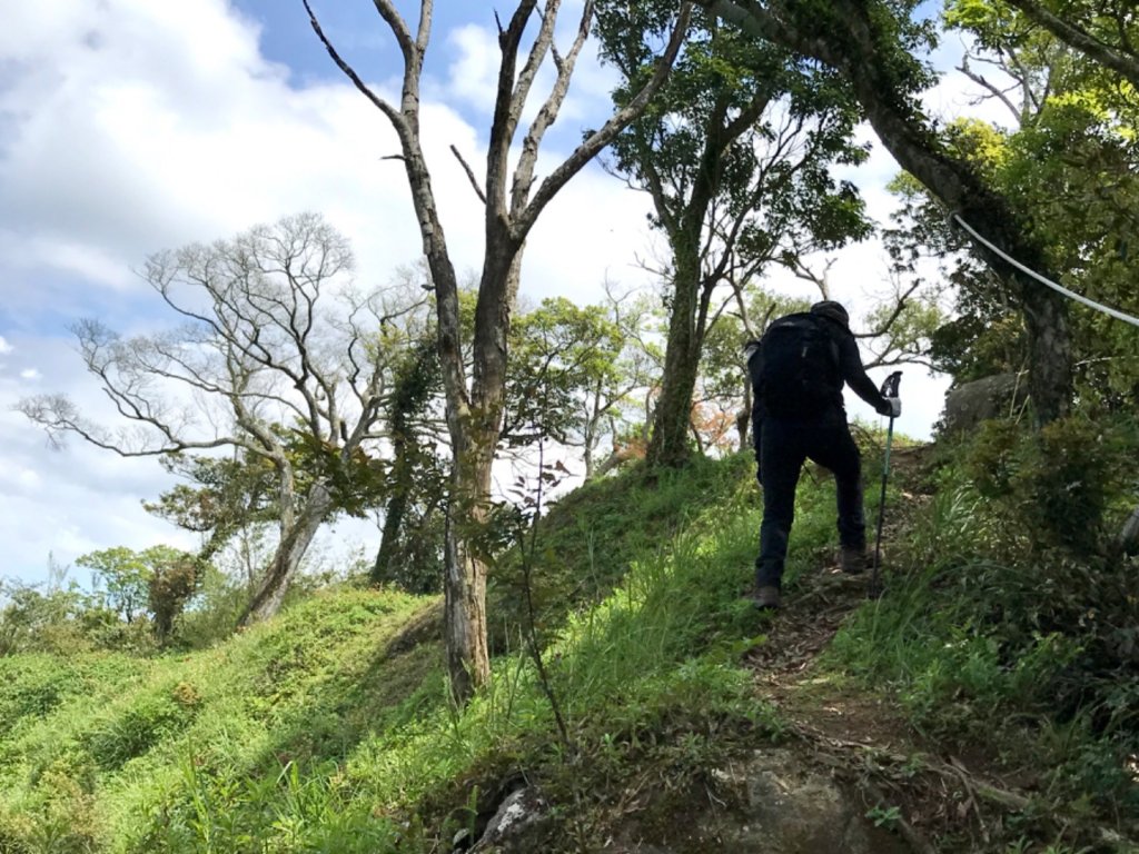 麒麟步道縱走田薯連峰_1666556