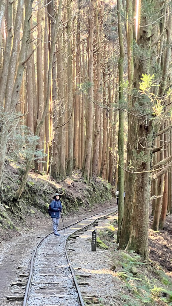2024.12.29 特富野古道_2720698