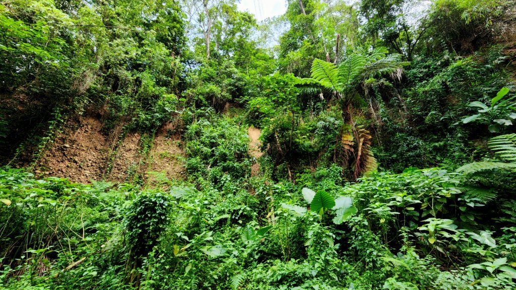 南投松柏坑山，登廟步道，賞茶步道，七星陣地公園，日月潭，彰化石牌坑古道_1801333