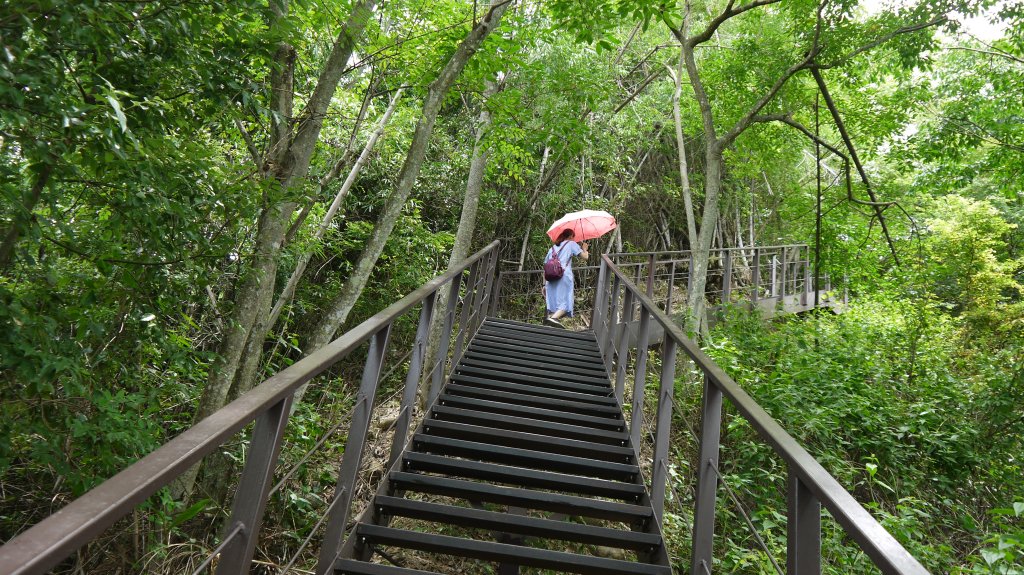 九九峰森林步道登山健行趣(步道)_1827309