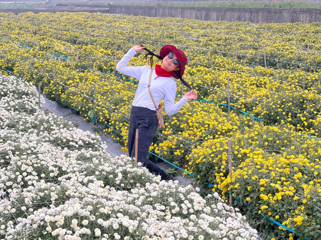 小百岳關刀山889m+銅鑼杭菊_1924072