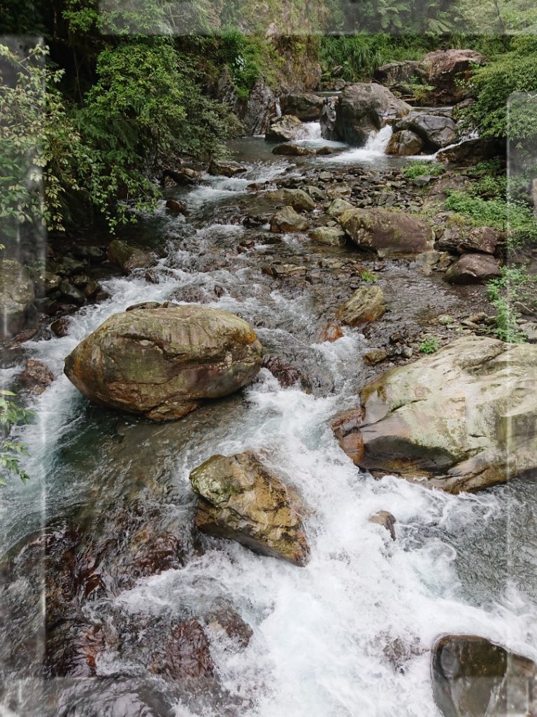 步道巡訪員 l 九寮溪自然步道9月巡訪日誌_1107177
