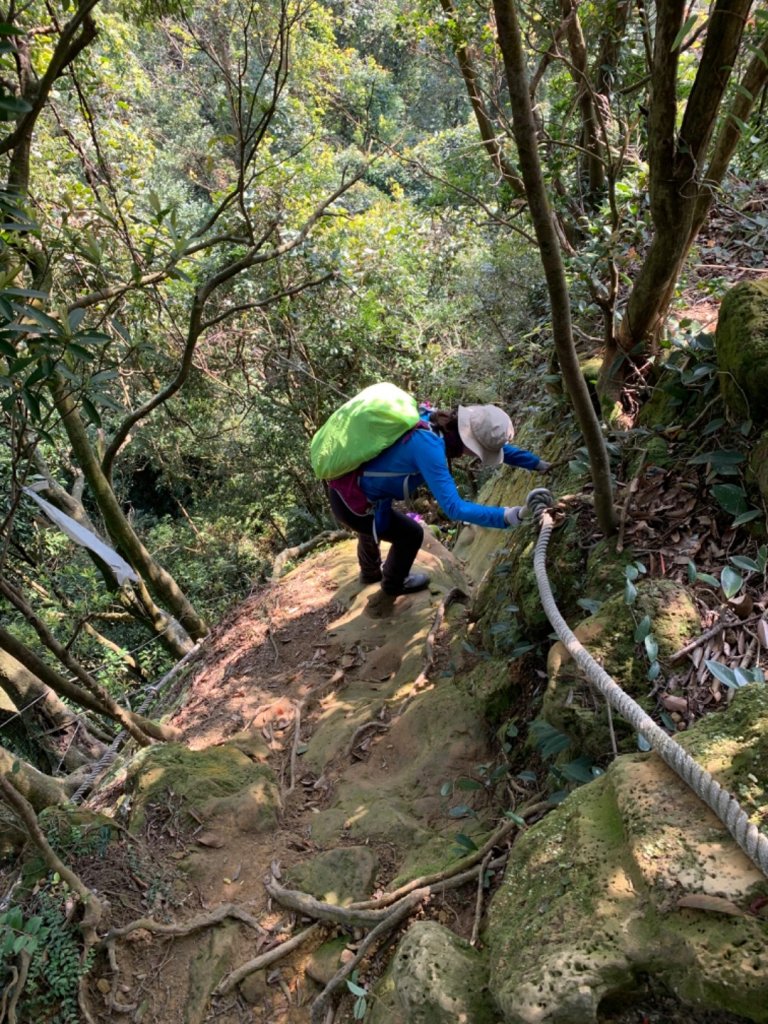 雙玉皇宮(三峽長壽山到中和圓通)_843911