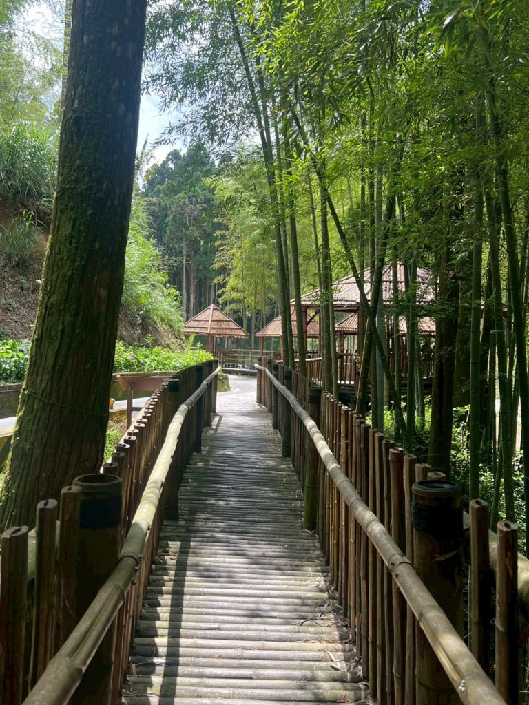 嵐山再古坑。五元兩角 木馬古道_2806129