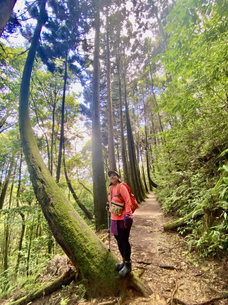 橫嶺山-沙蓮山-笛吹山連走    2022/7/5_1754735