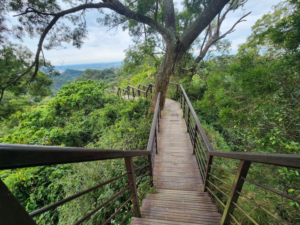 20250223田中大小劍與橫山_2939864