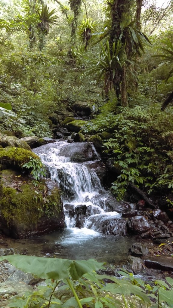 心之所嚮的礁溪聖母峰－抹茶山_880506