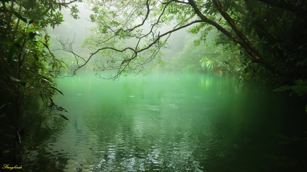 淡蘭古道深度旅遊~尋找古道上珍貴歷史遺跡封面圖