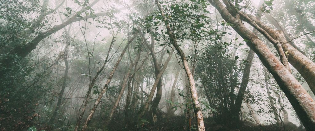 谷關七雄之二｜馬崙山_393330