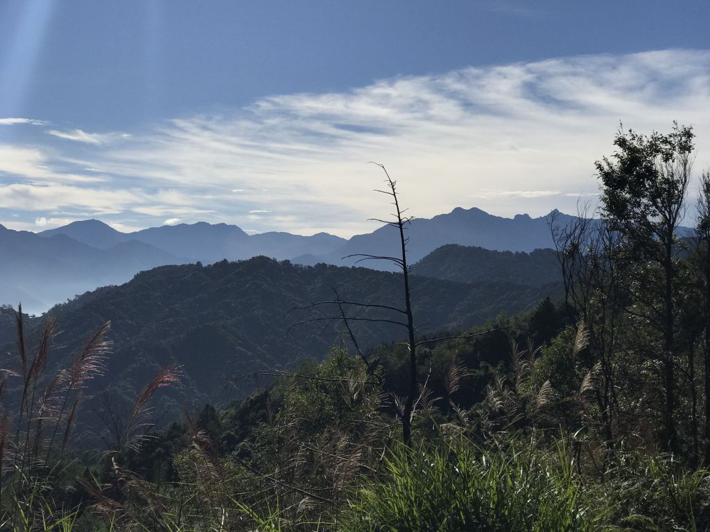 鹿屈山前峰 鹿屈山 水漾森林 林道O走_181421