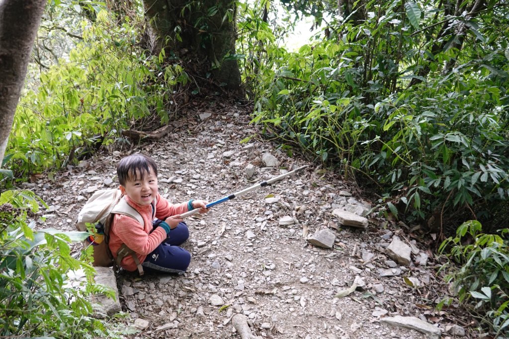阿興阿賢北大武山_870686