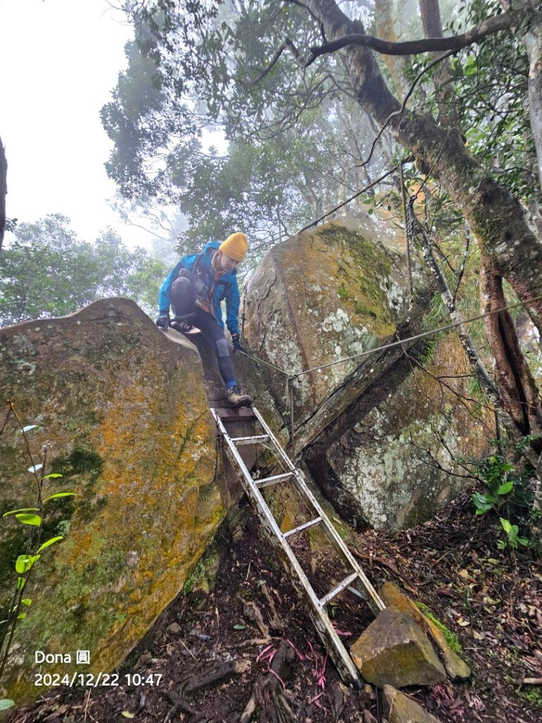 【苗栗郊山聖稜線】仙神象18連峰大縱走_2675854