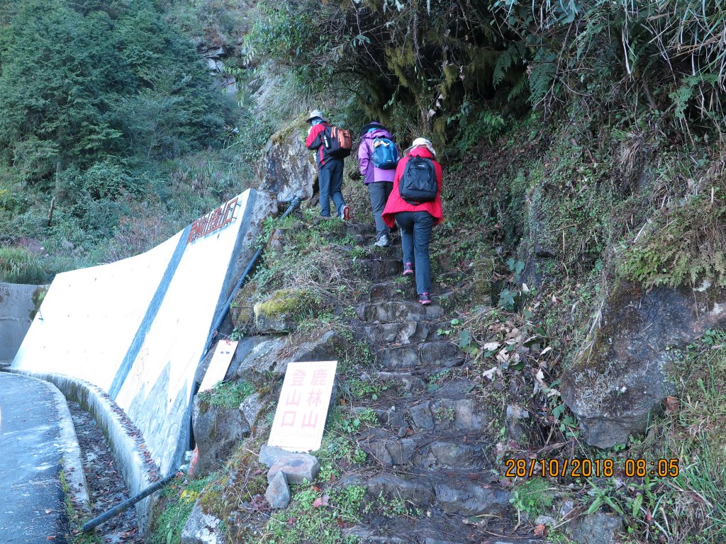 鹿林山及麟趾山_449504