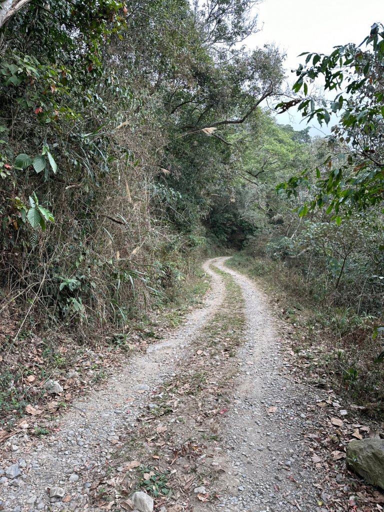 網子山、網子山東北峰、鳴海下山、鳴海山連走_2040645