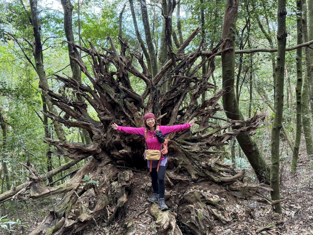 南東眼山(埔里六秀) 20141222封面圖