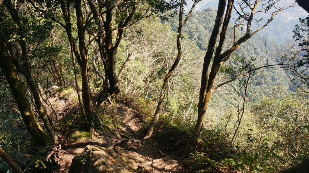 神仙縱走(仙山至神桌山)_1252505