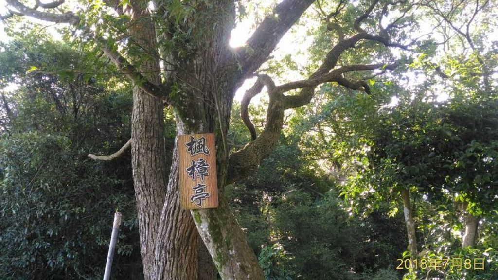 三峽鳶山-連女兒都知是打卡熱點_363845