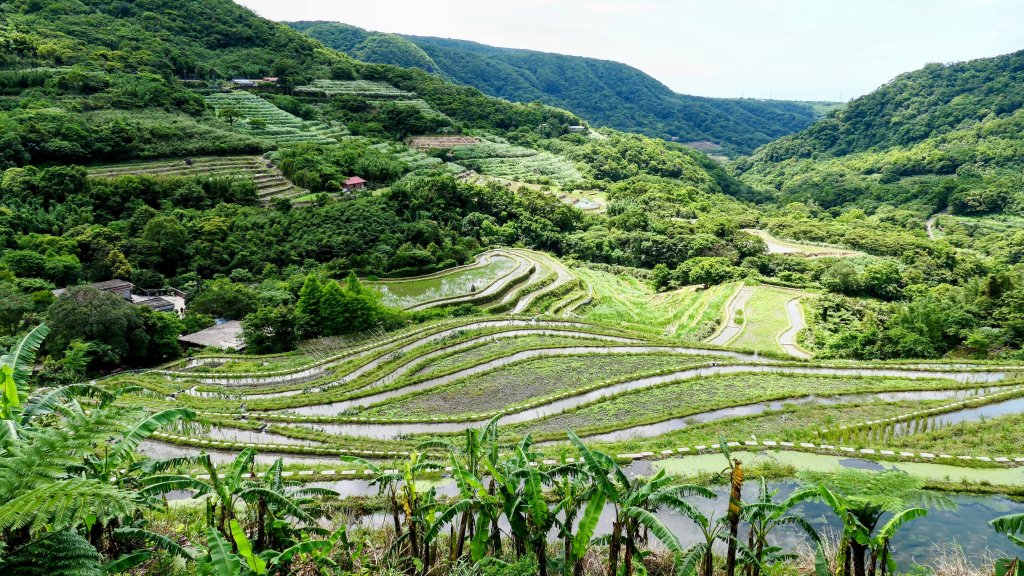 北海岸。良率_2783360