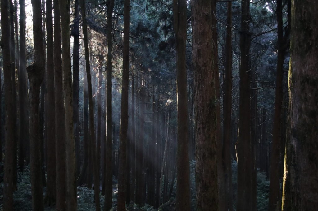 眠月線～年輕人爬山趣_2854764