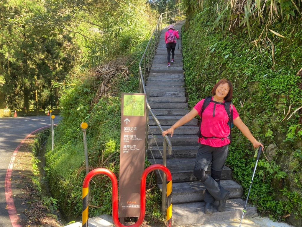 奮起湖環狀步道、麻竹湖步道_2638121