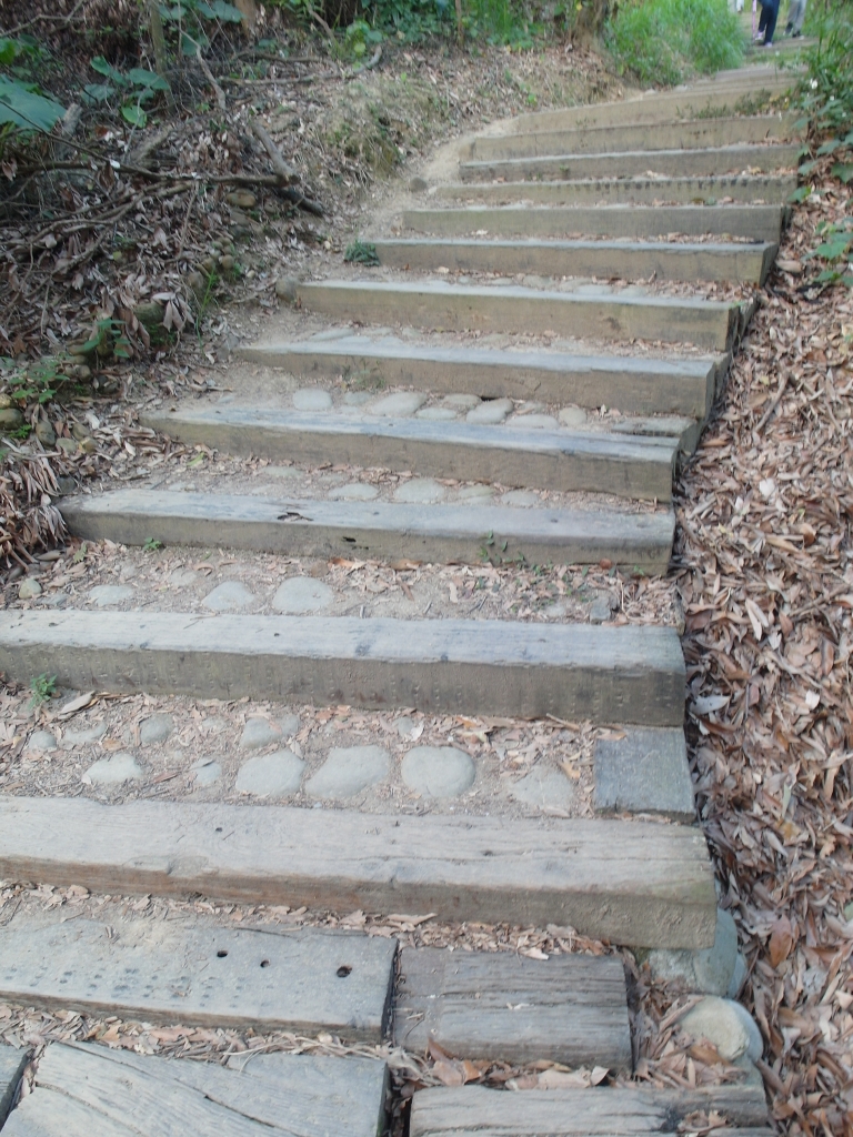彰化桃源里步道~坑仔內山~八卦禪寺_92386