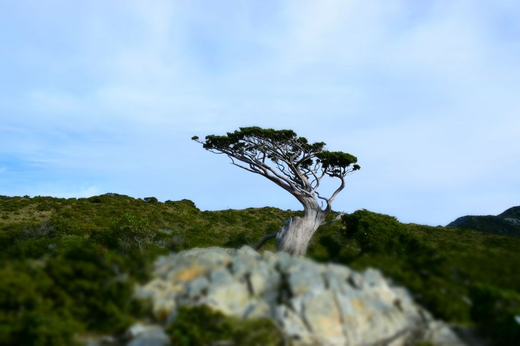 嘉明湖登山步道_128930