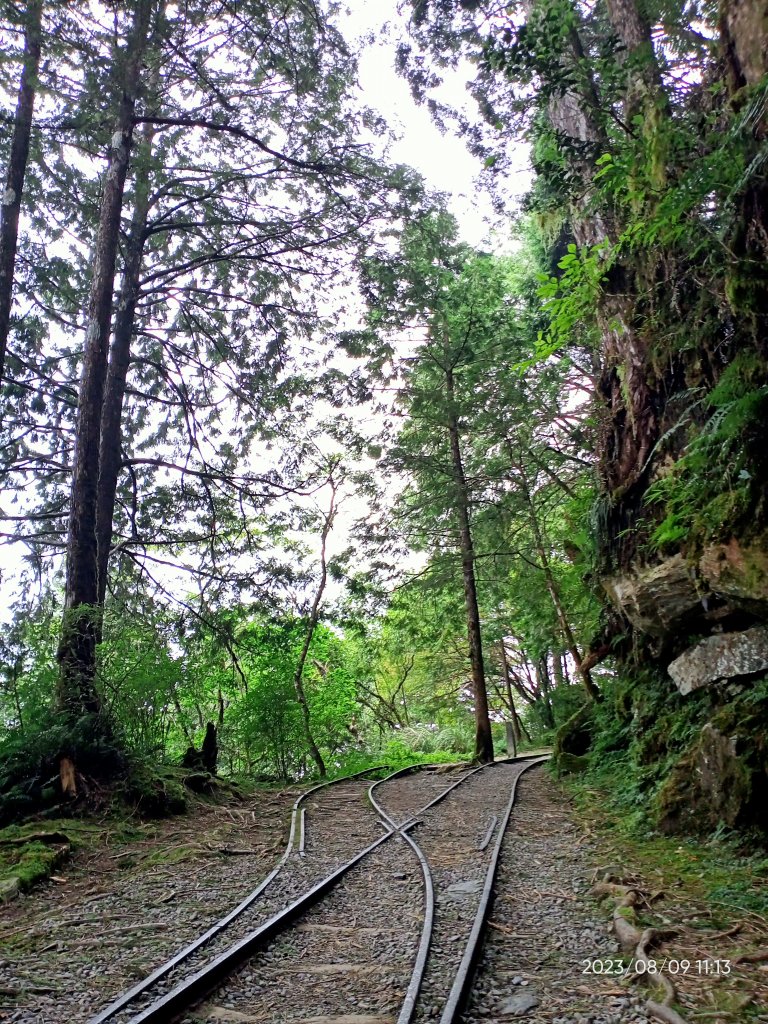 宜蘭太平山國家森林遊樂區 - 見晴懷古步道、檜木原始林步道（2-1 至蹦蹦車站）【台灣百大必訪步道】_2245169