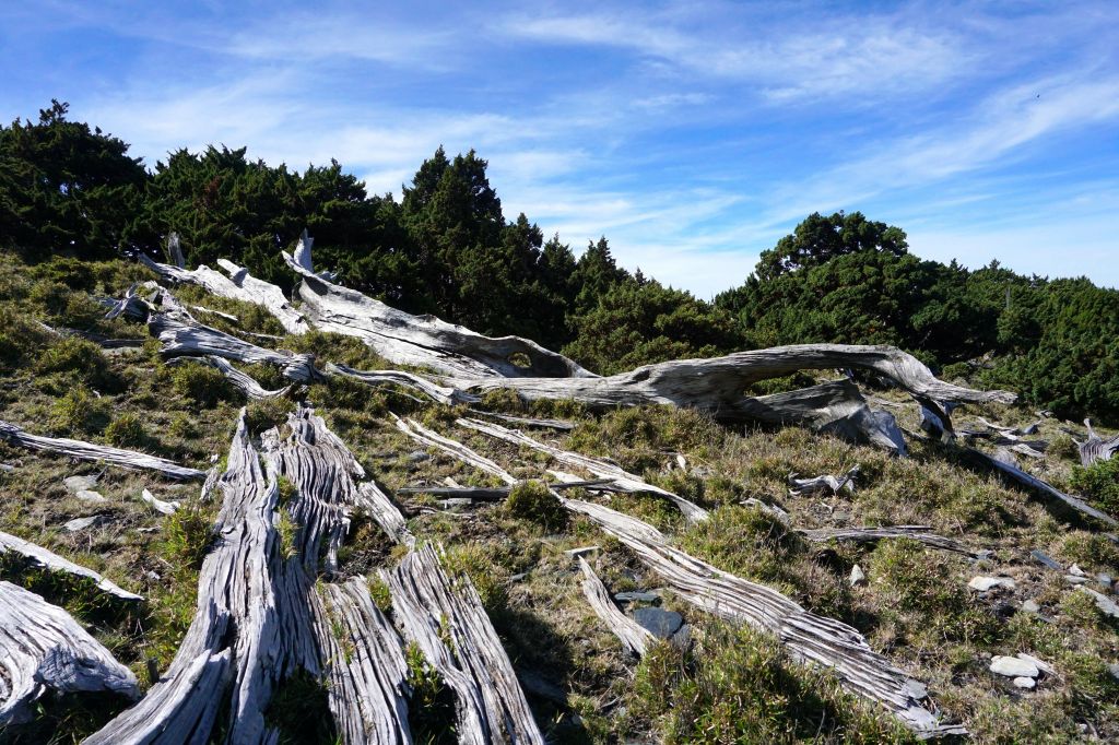 八通關古道西段（三）秀姑坪＆秀姑巒山封面圖