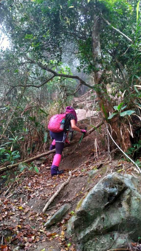 小百岳【三腳南山】_915756