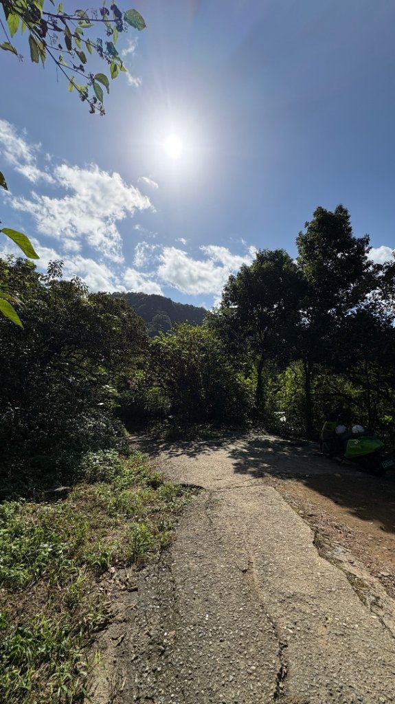 漫遊陽明山_2952070