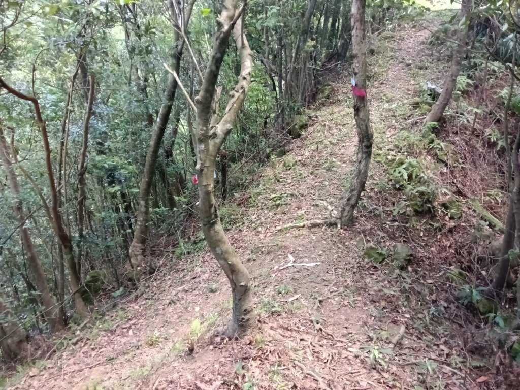 平溪區平湖尖+南山坪山+司公碗帽山+和尚尖O型_2810753