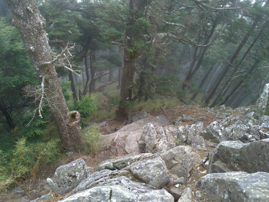 【花蓮縣秀林鄉】屏風山(單攻)_1231972