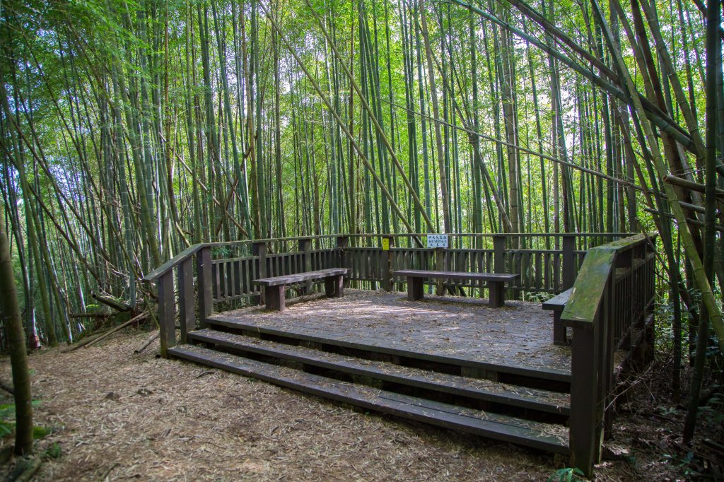 步道巡訪員 l 四大天王山步道第11巡～_1177764