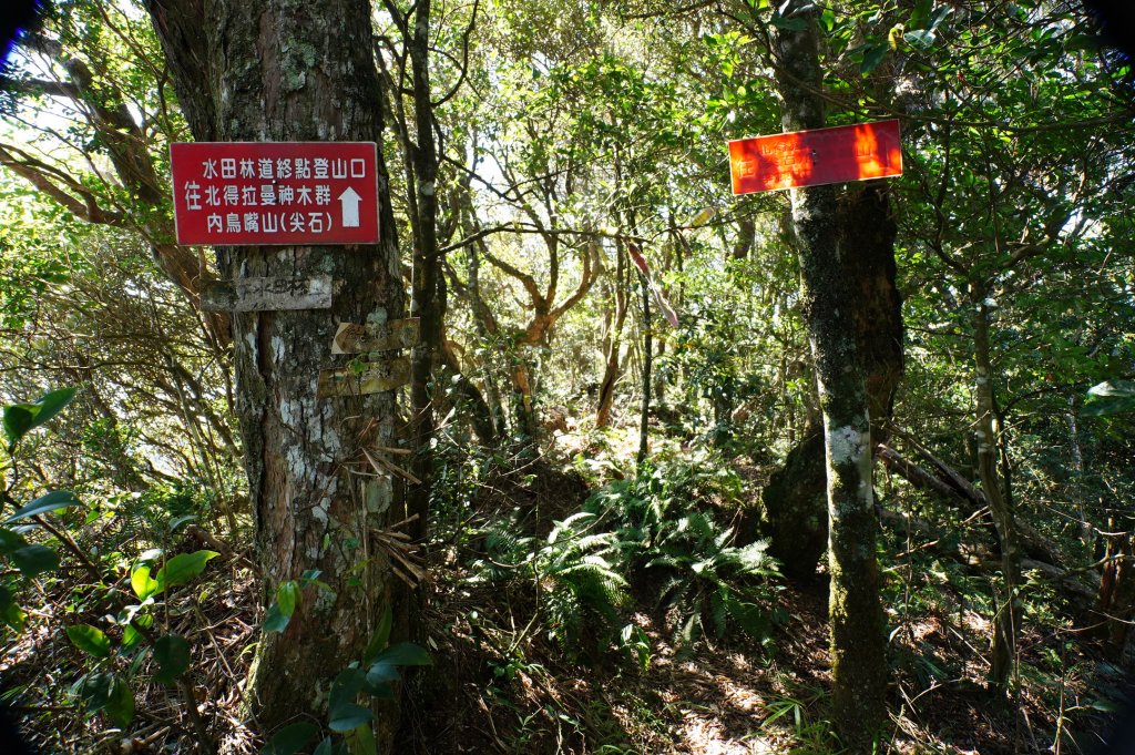 新竹 尖石 貴妃山、那結山_2913608