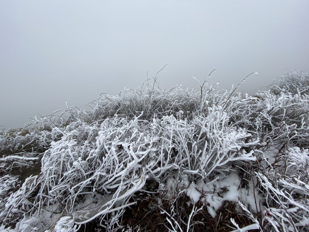 20200208合歡主峰封面圖