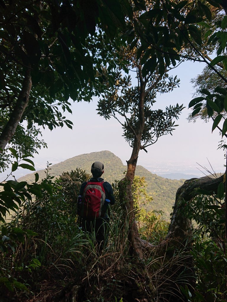 水田林道上貴妃山-鞍部石猴-那結山O型走_1307503