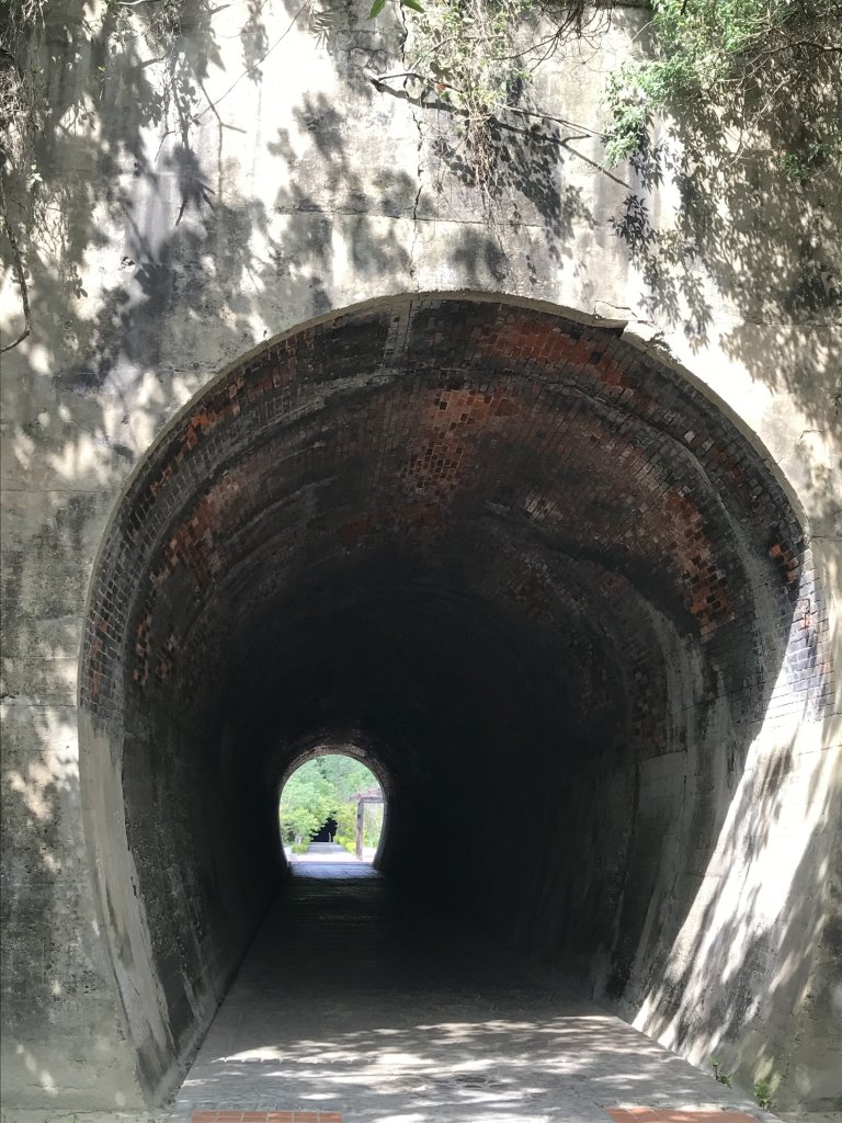20210424後龍好望角步道_1369652