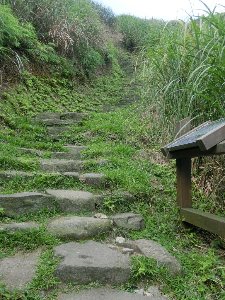 擎天崗．魚路古道．日人路_331944