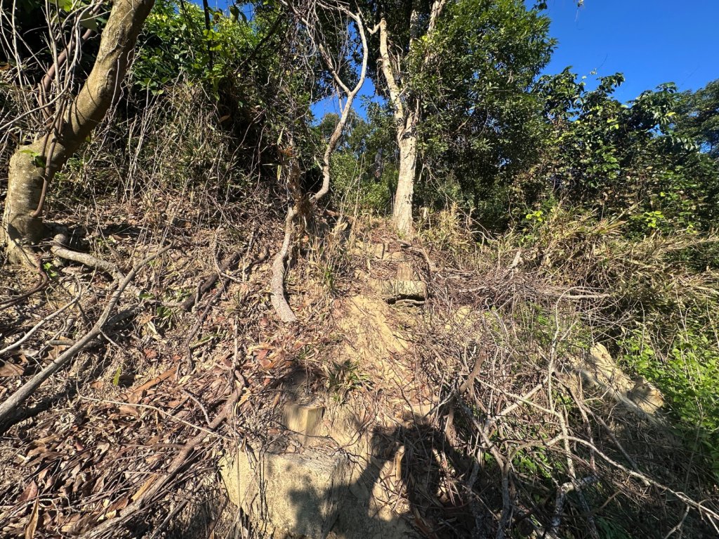 楓仔林步道、蝙蝠洞、護國清涼寺、草嶺步道_2663919