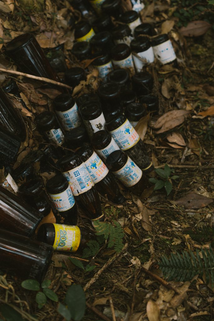 巒安堂上西巒大山_2111057