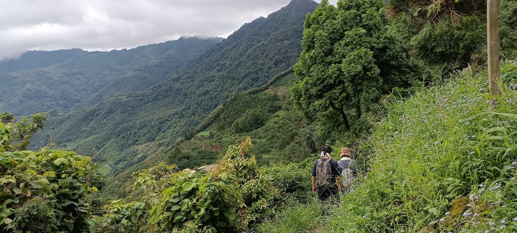 2024/08/18_馬那邦山步道_2576209